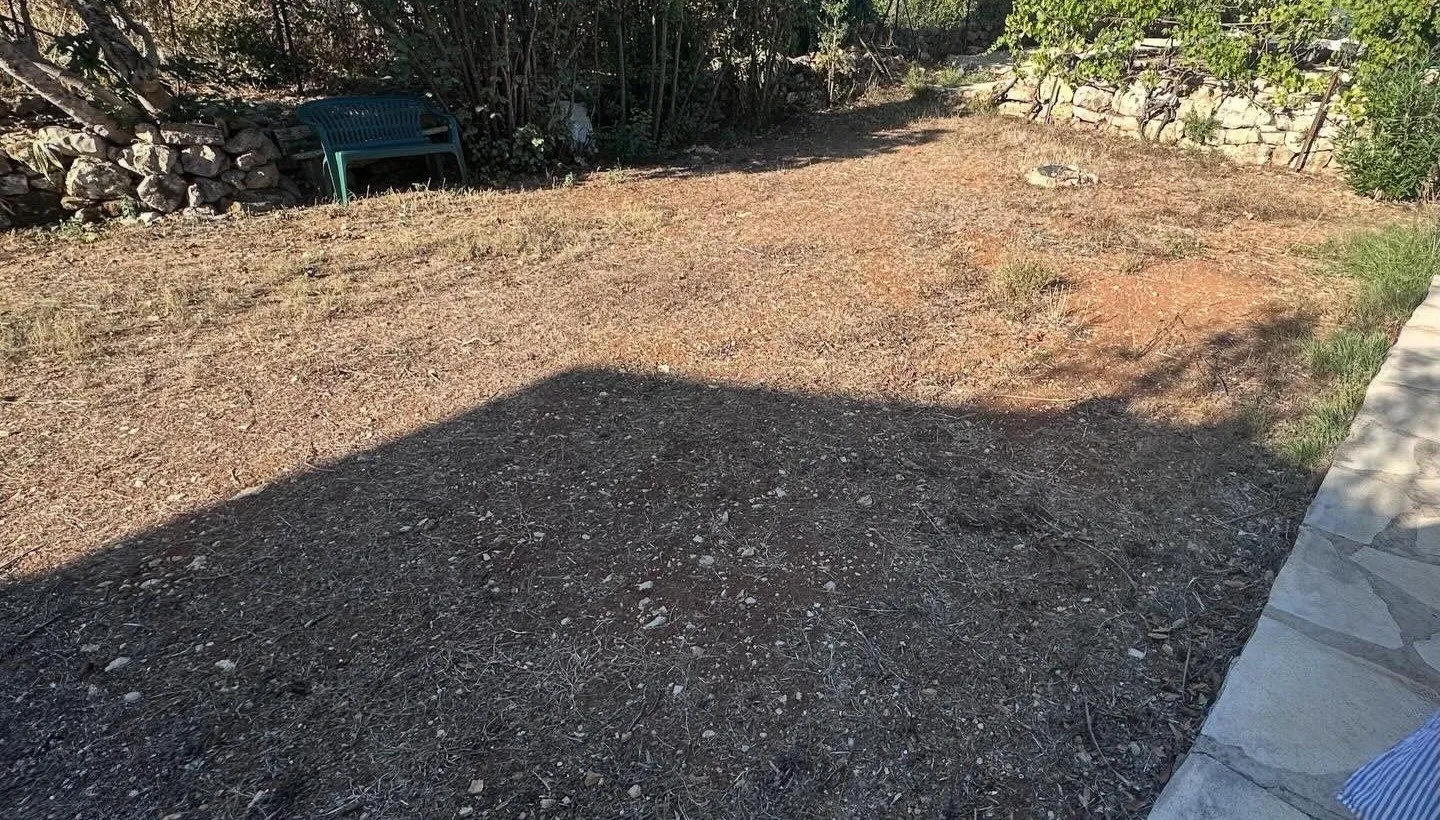 Terrain en terre sèche et herbes rases le long d'un muret en pierre, avant travaux